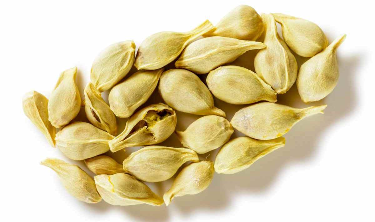 sinaasappelpitten liggen op tafel.